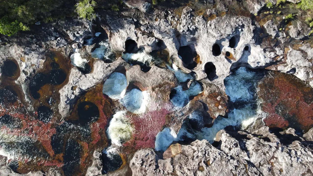 Caño Cristales
