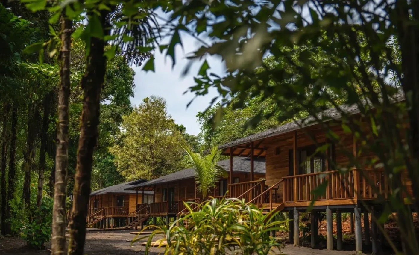 Cabañas de madera entre la selva en BlackSands Lodge