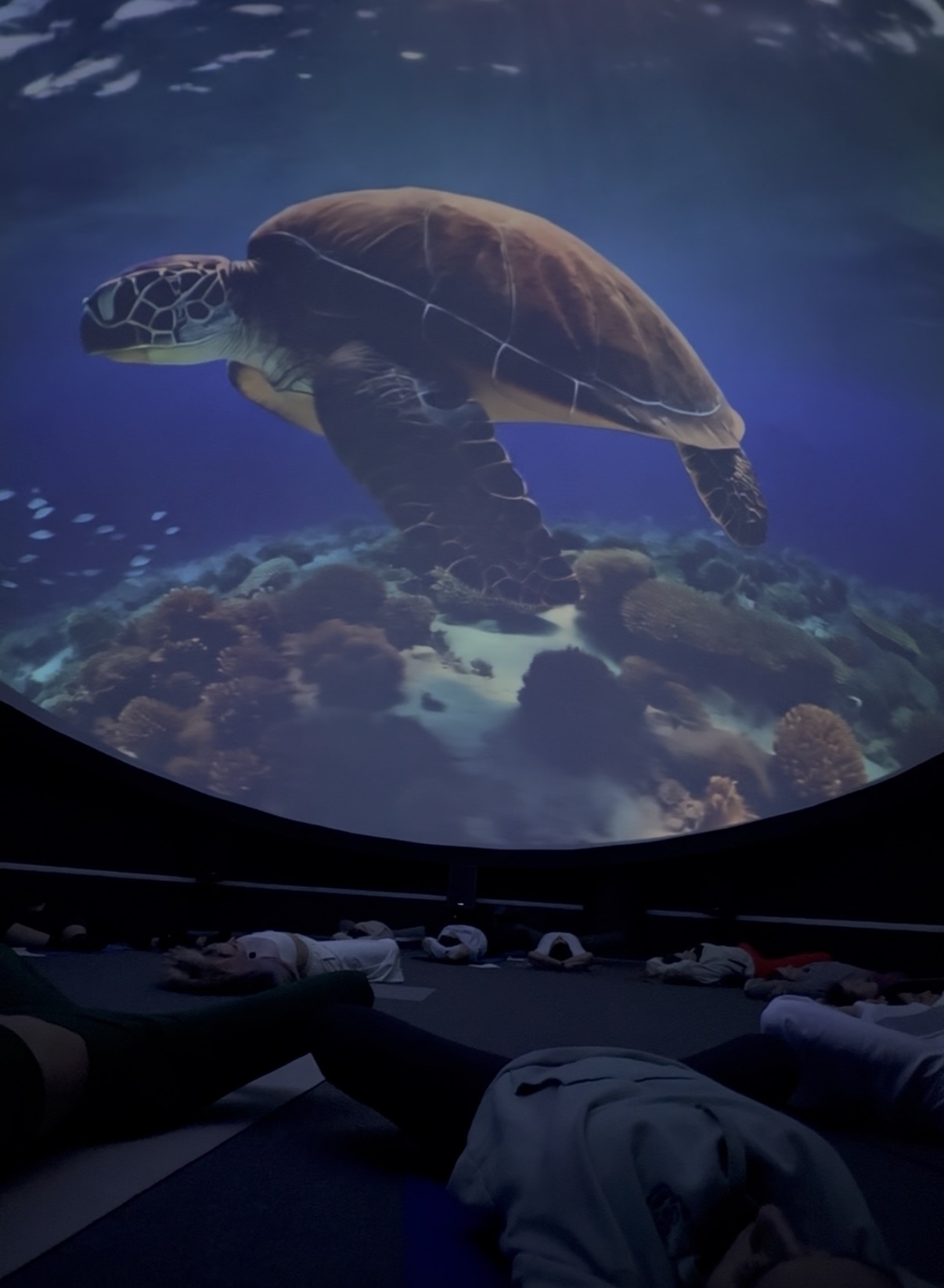 Del Páramo al Mar — experiencia inmersiva con naturaleza